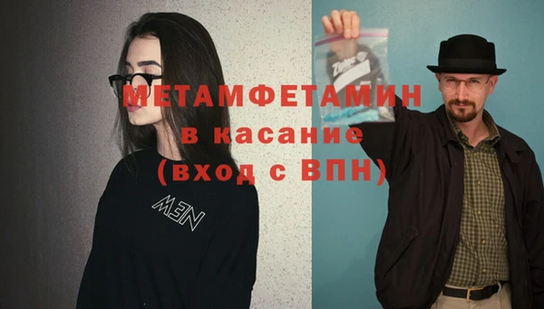 прущие грибы Ростов