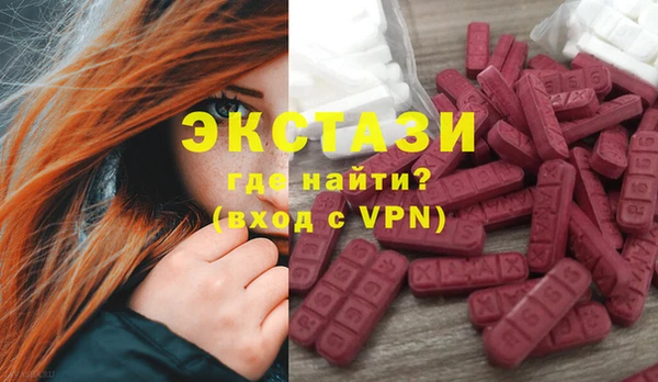 прущие грибы Рославль
