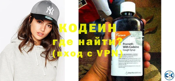 прущие грибы Ростов
