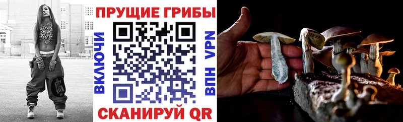 Псилоцибиновые грибы Magic Shrooms Очёр