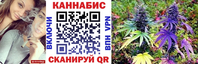 Бошки марихуана Bruce Banner  где продают   мориарти формула  Очёр 
